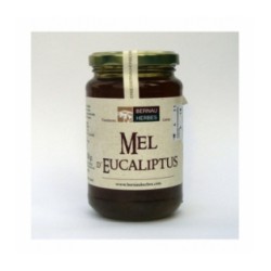 Miel de eucalipto 500gr. Bernau Herbes de l'Urgell. 6 Unidades