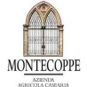Montecoppe