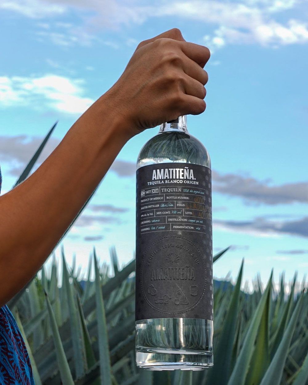 Amatiteña Blanco Origen bottle above an agave field