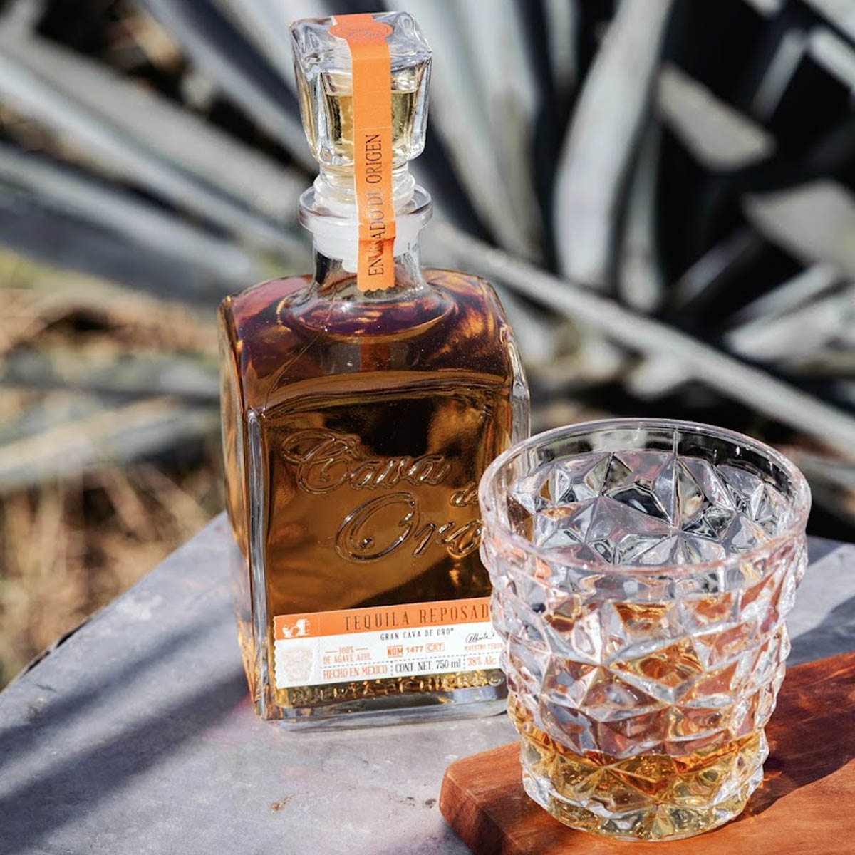Cava de Oro Reposado bottle and glass in an agave setting