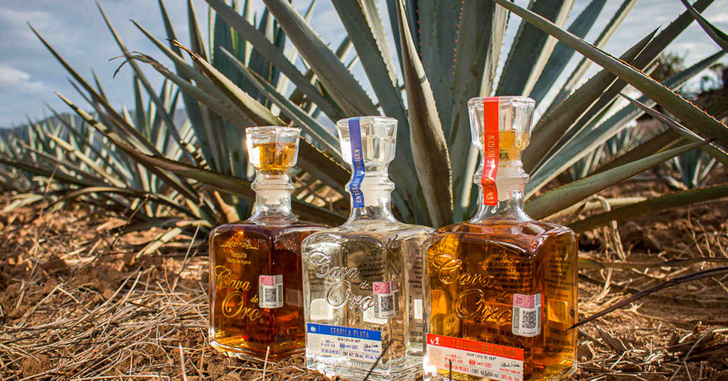 Cava de Oro tequila bottles photographed among agave plants