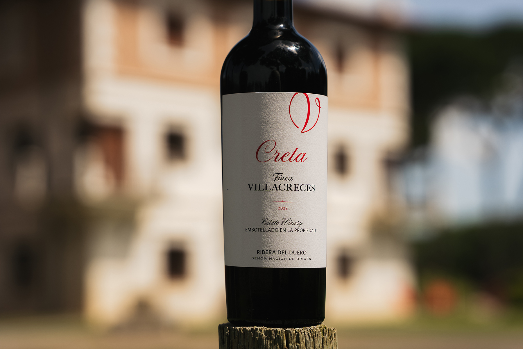 Creta 2022 wine presented beside the Valdelascuevas vineyard