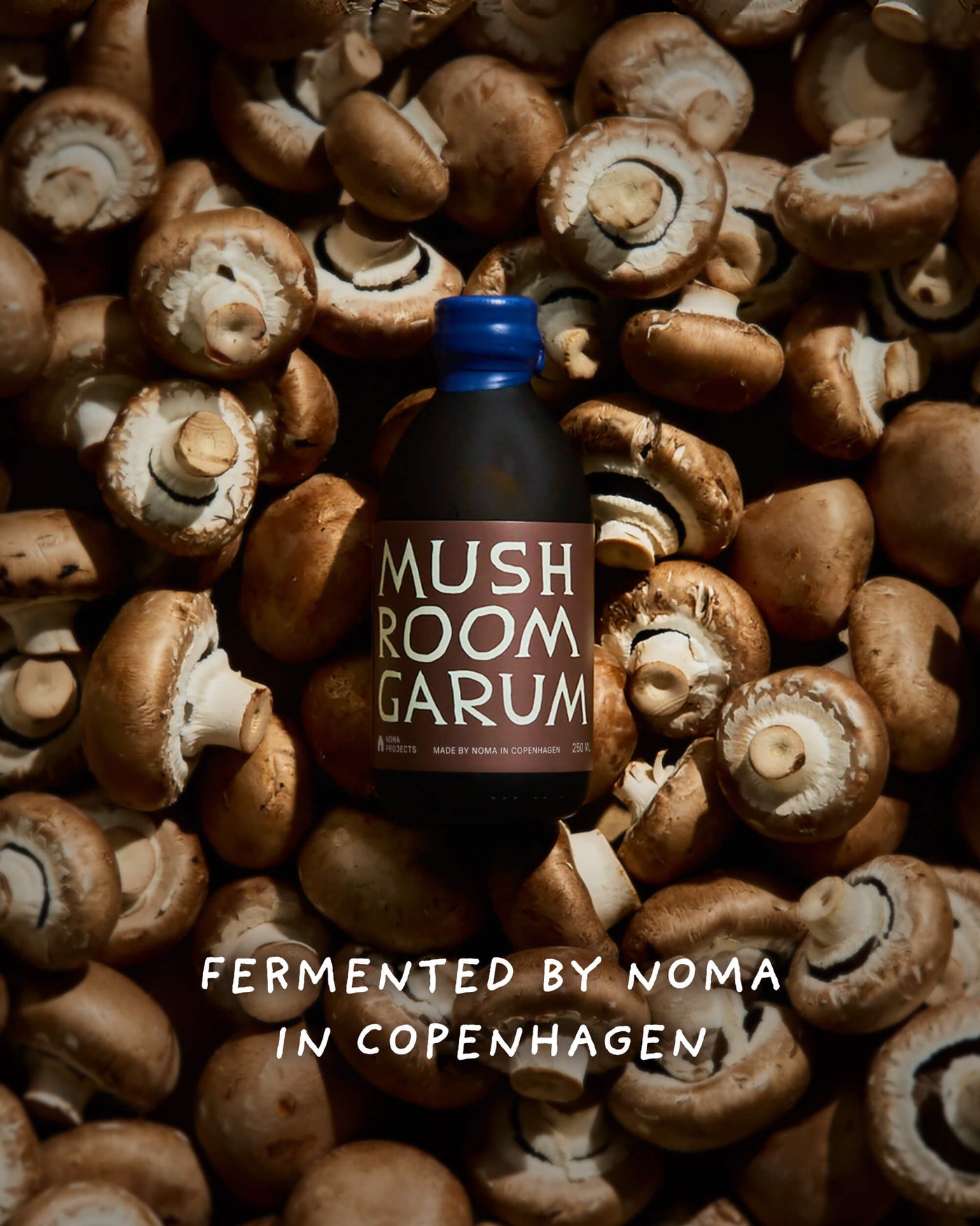 Mushroom Garum poured into a vegetable dish outdoors